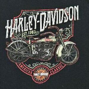 Harley Davidson T-Shirt, Size L, New WithOut Tag